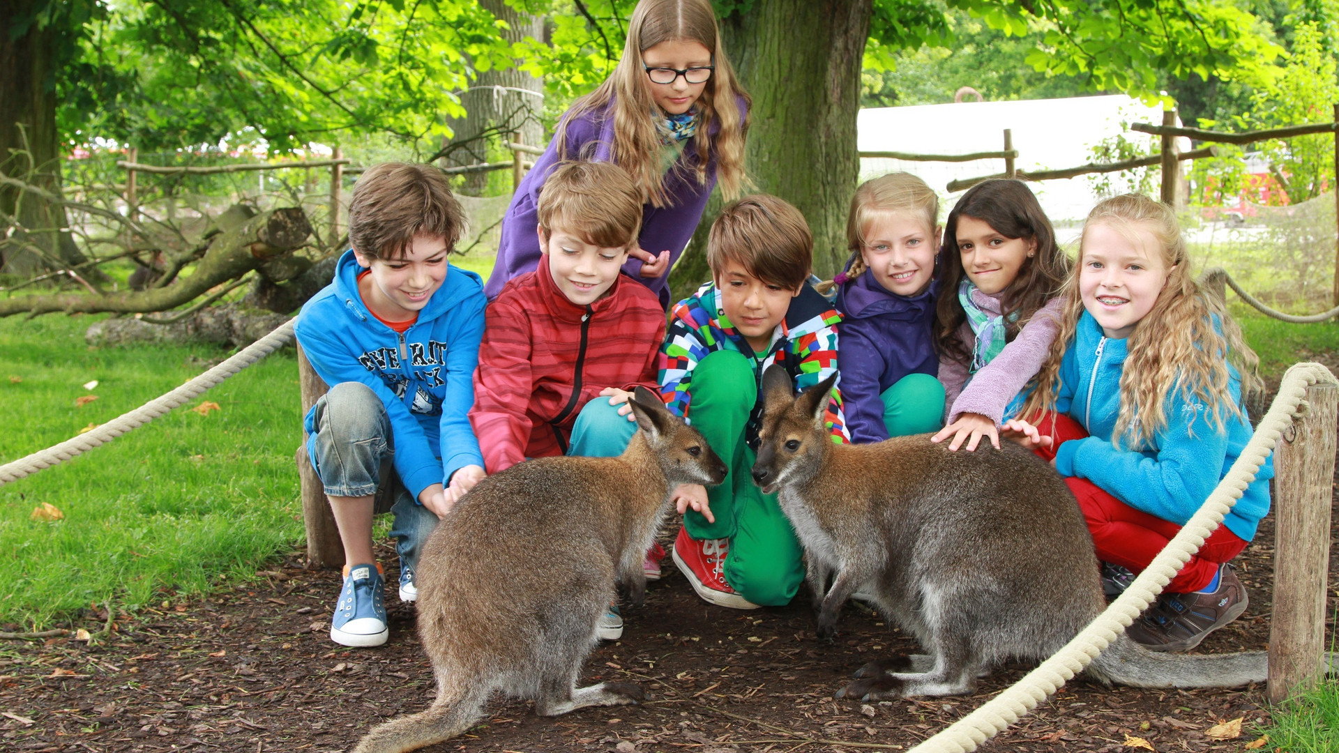 Tierpark Sababurg – Bild 2