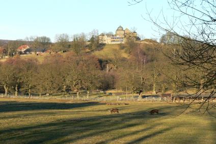 Tierpark Sababurg – Bild 3