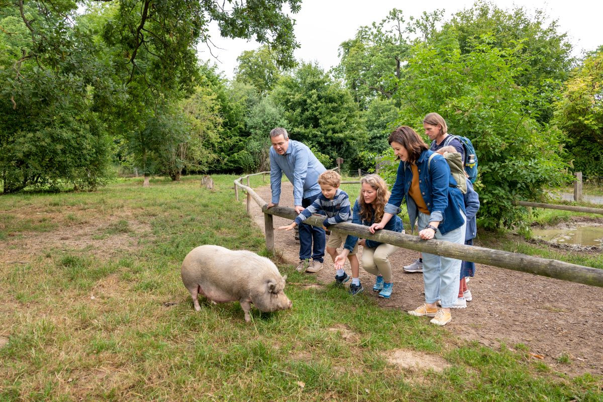 Tierpark Sababurg – Bild 5