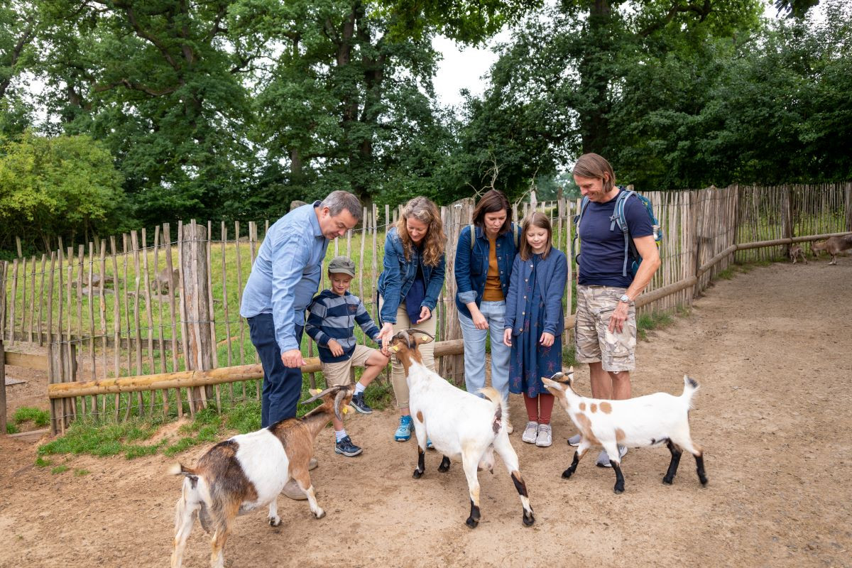 Tierpark Sababurg – Bild 6