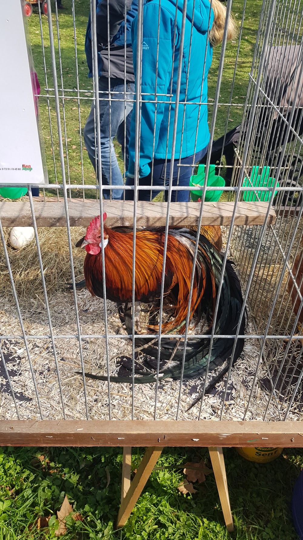 Stadtpark – Bild 4