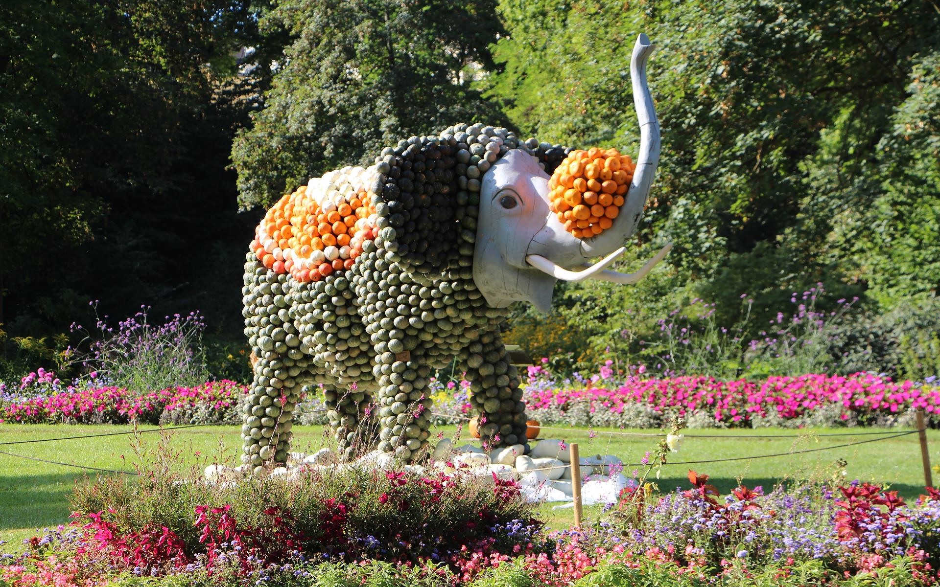 Spargel- und Erlebnishof Klaistow – Bild 3