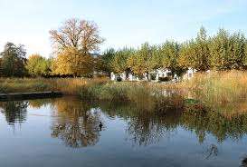 Seepark Ostermundigen – Bild 2