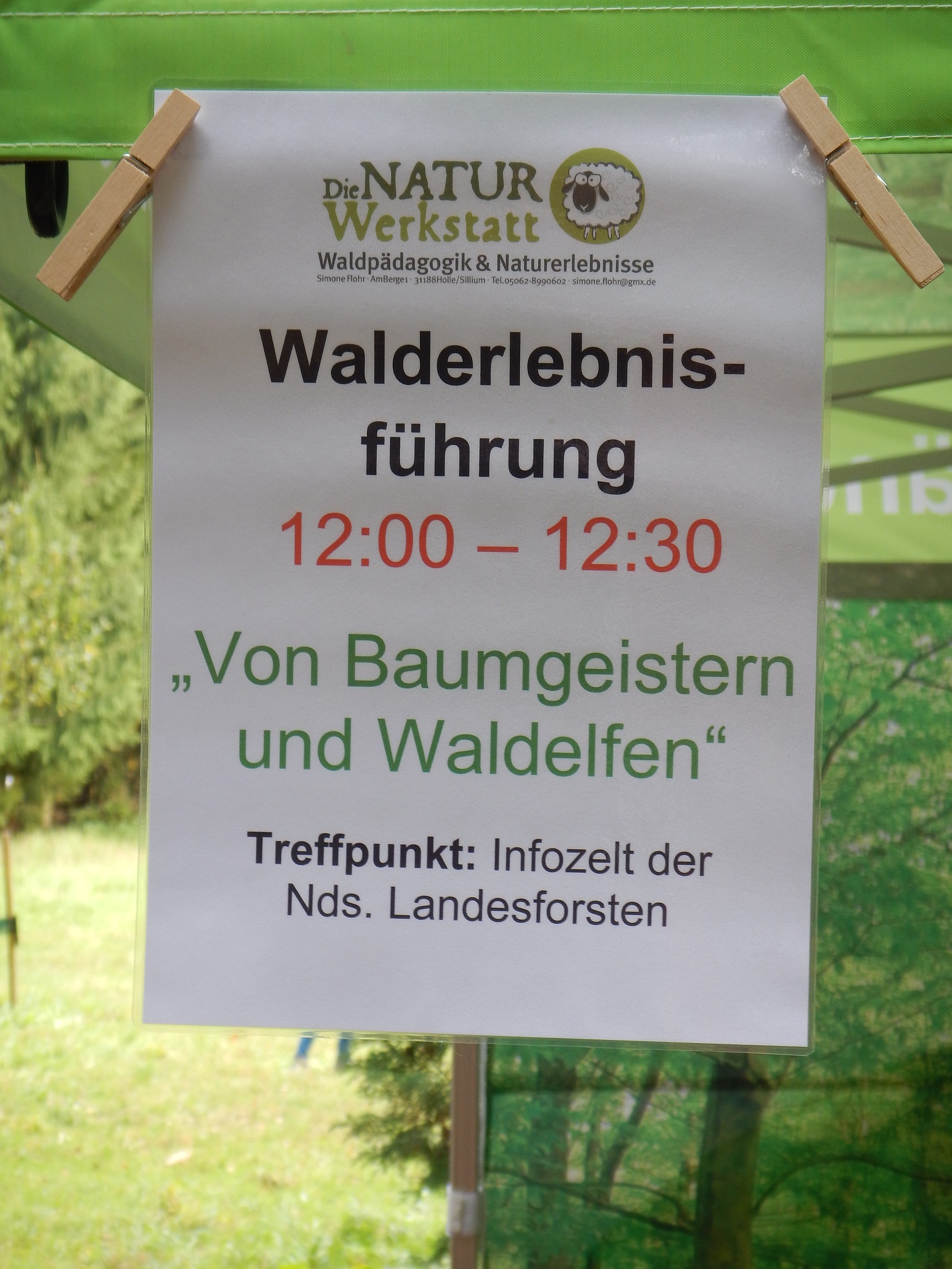 Kindererlebniswald – Bild 2