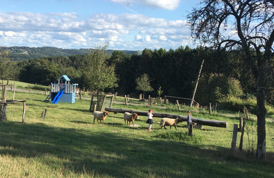 WesterHof (Besuch nur nach Vereinbarung) – Bild 3