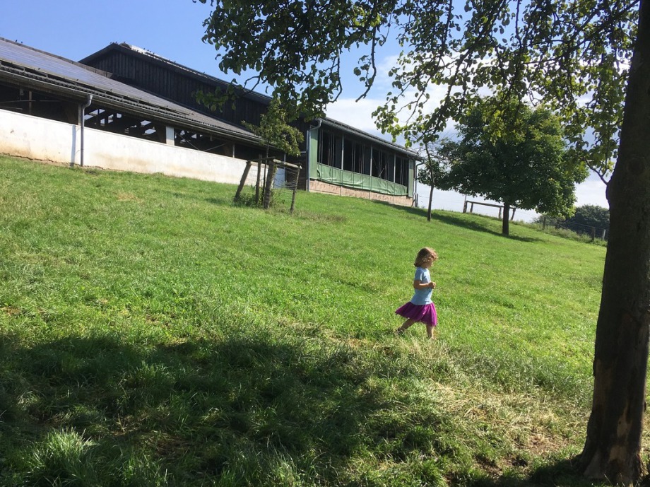 WesterHof (Besuch nur nach Vereinbarung) – Bild 5