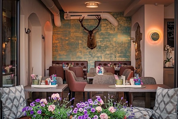 Platzhirsch Pirna – Bild 1