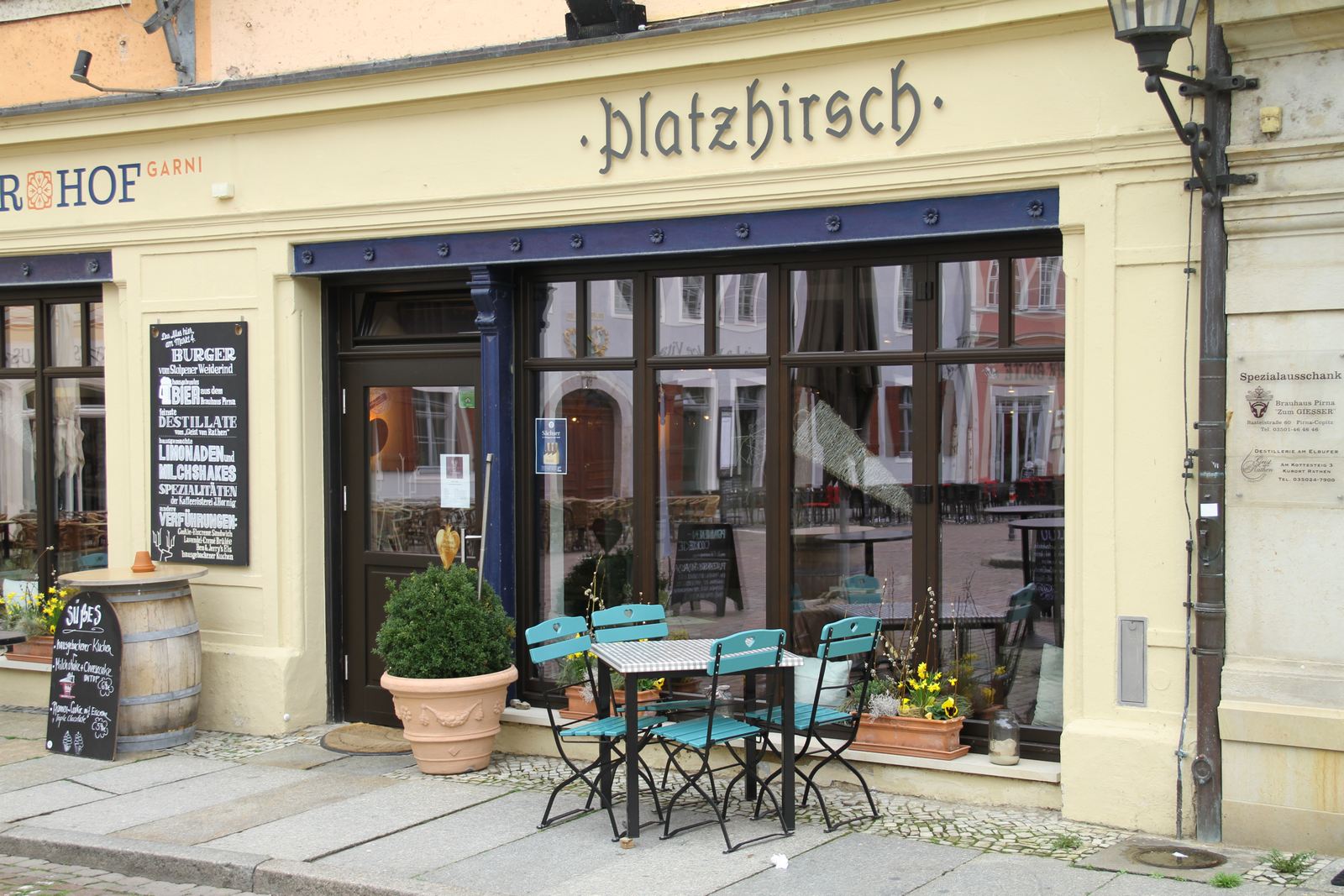 Platzhirsch Pirna – Bild 2