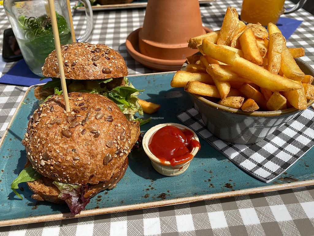 Platzhirsch Pirna – Bild 3