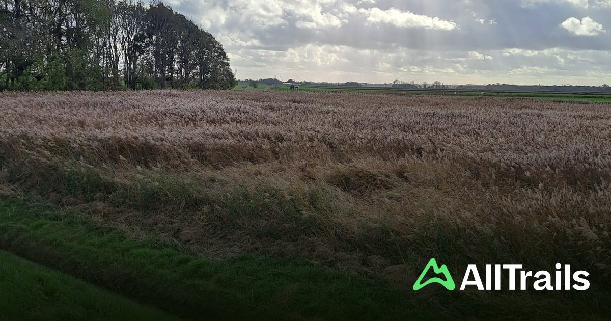 Camping Auf Dem Bauernhof "Dangaster Weide" – Bild 4