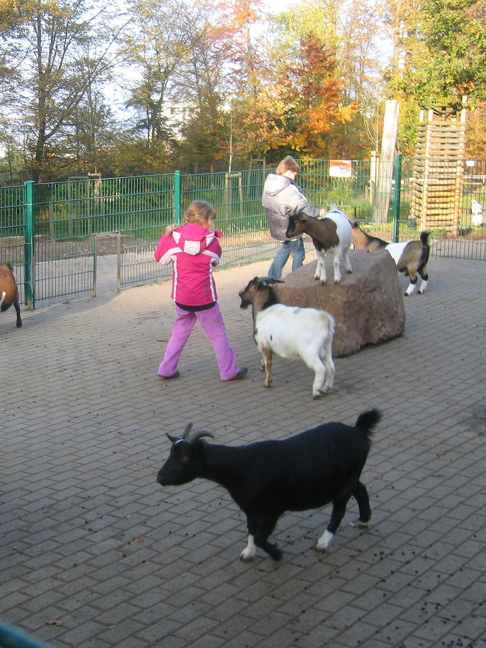 Tierpark Pforzheim – Bild 2
