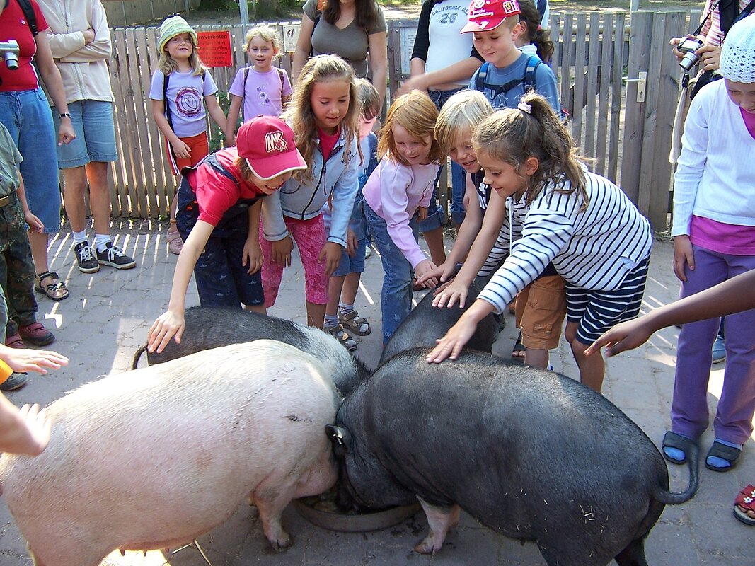 Tierpark Pforzheim – Bild 3