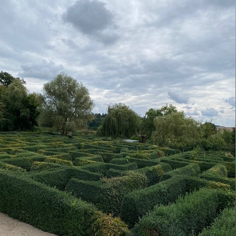 Irrgarten Bollewick – Bild 5