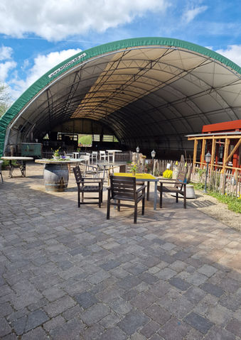 Hütherhof Ponyreiten – Bild 3