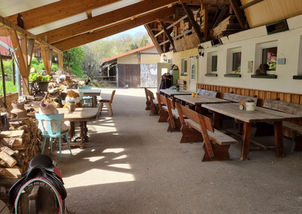 Hütherhof Ponyreiten – Bild 4