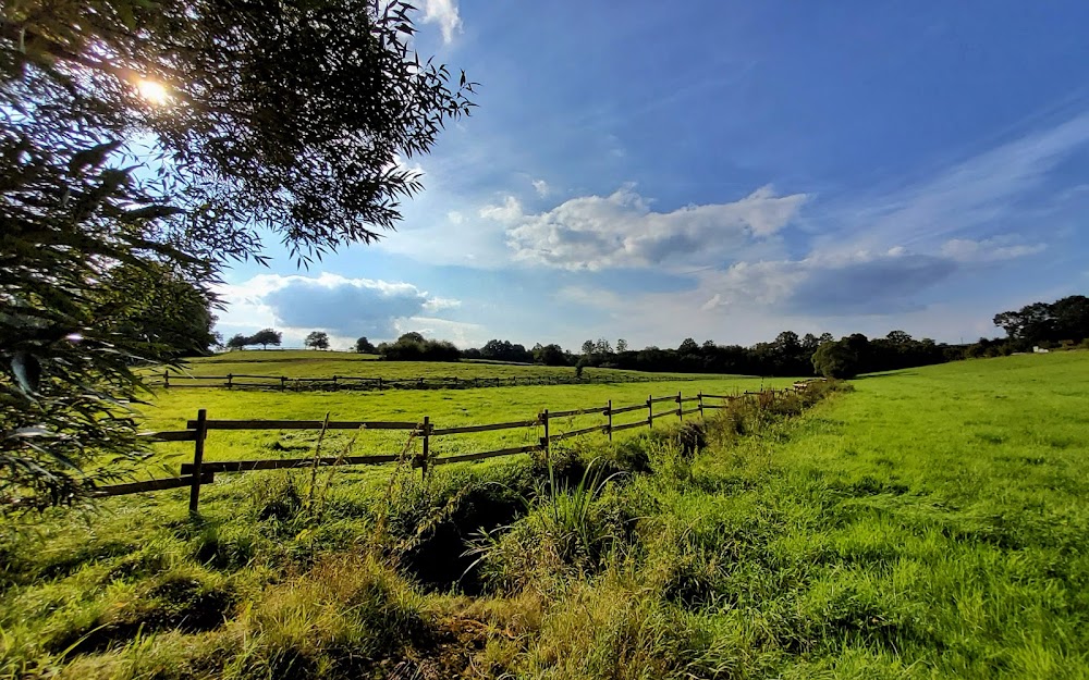Hütherhof Ponyreiten – Bild 5