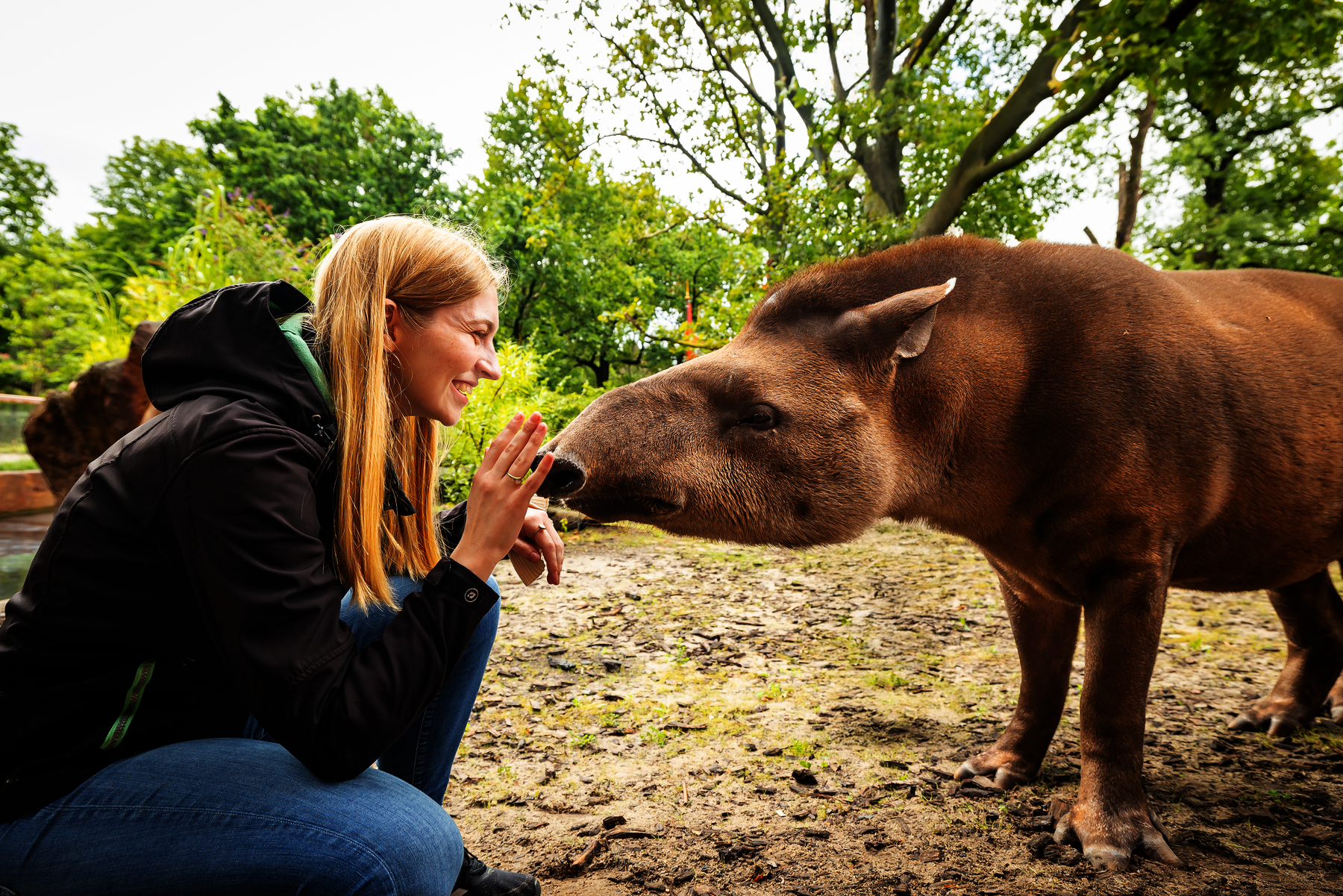 Zoologischer Garten Berlin – Bild 5