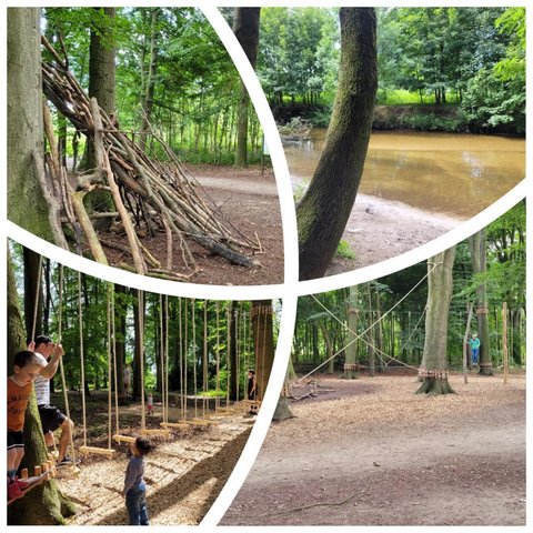 Niedrigseilgarten Gescher – Bild 4