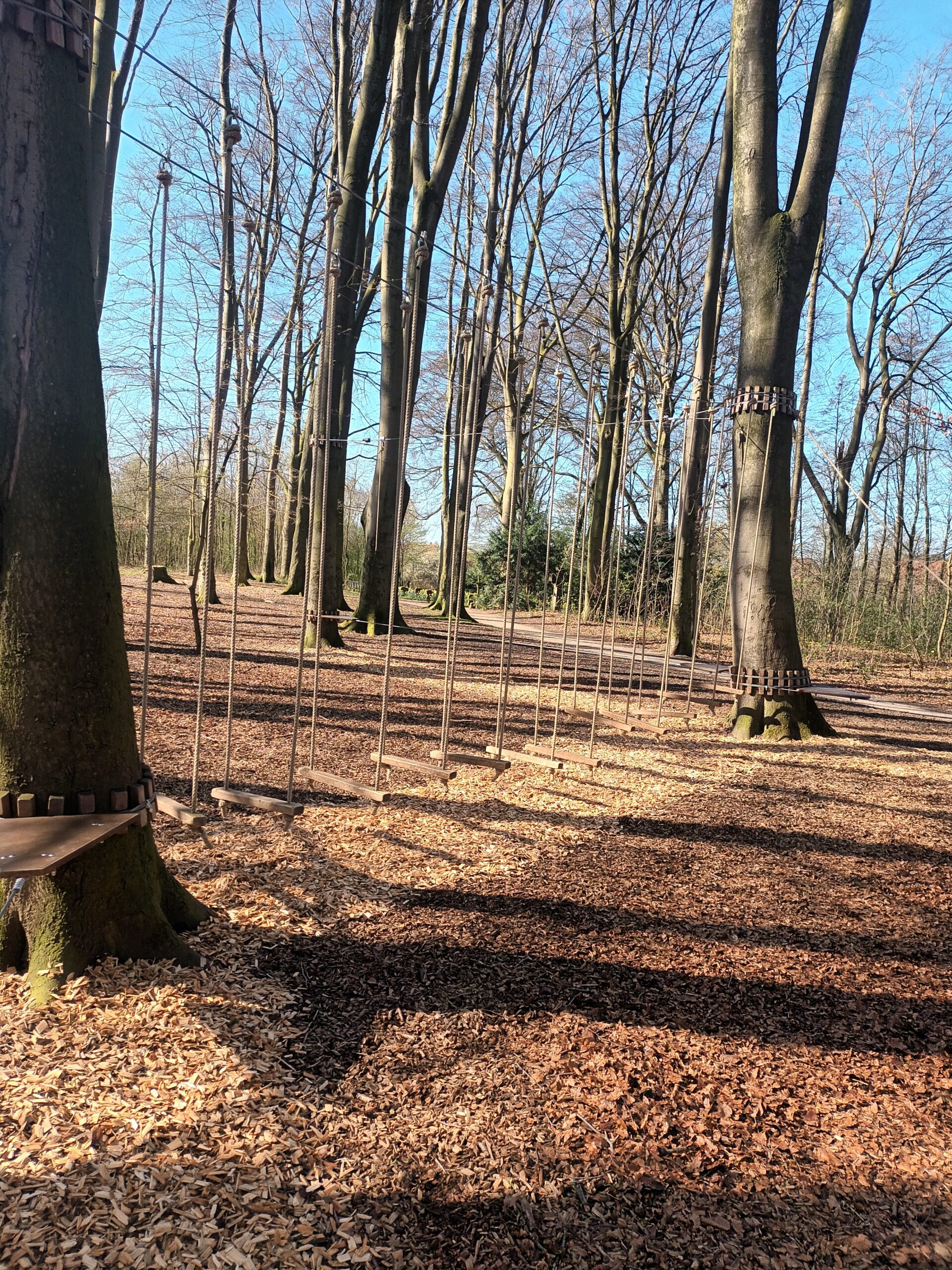 Niedrigseilgarten Gescher – Bild 5