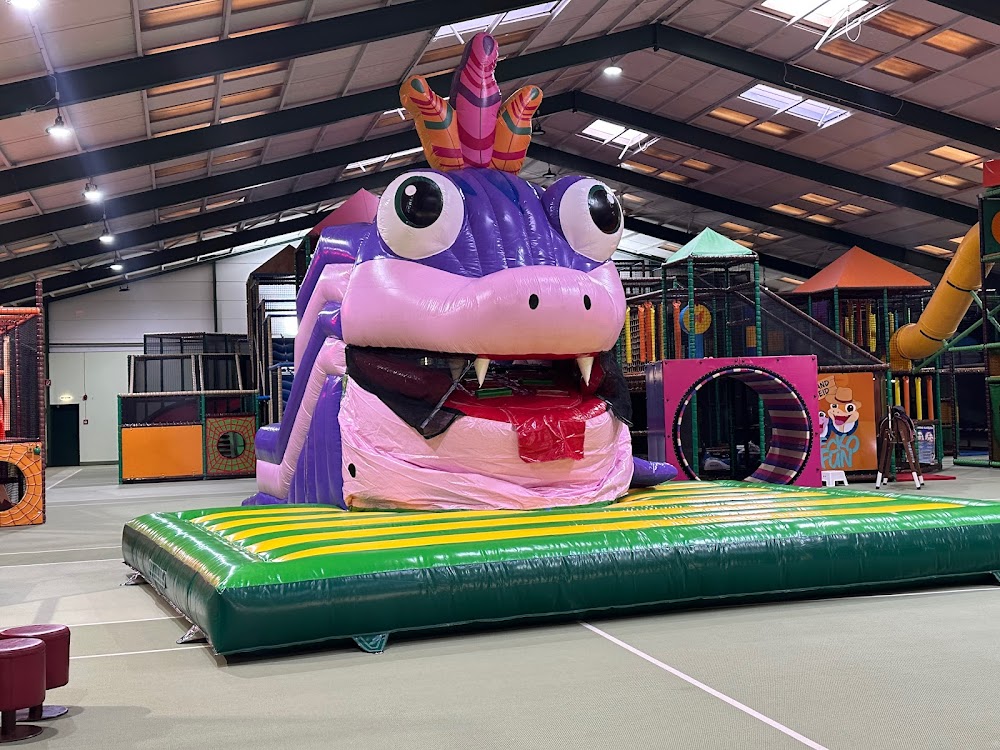 GECKO Fun – Bild 2