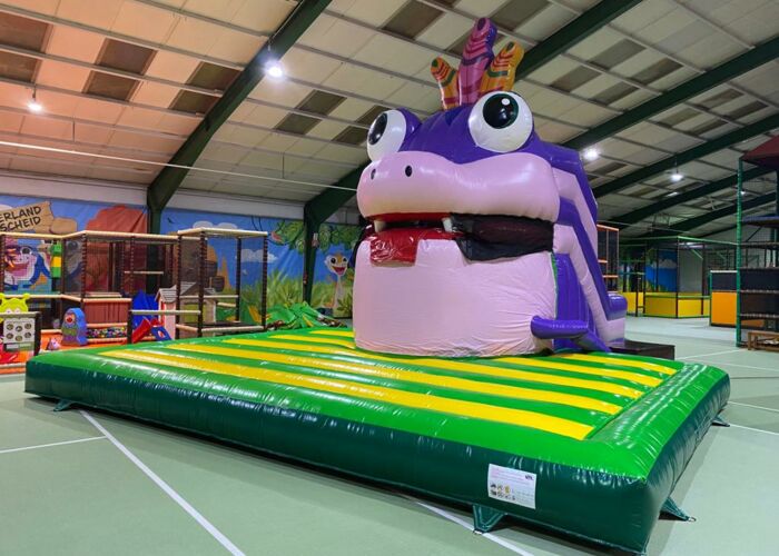 GECKO Fun – Bild 4