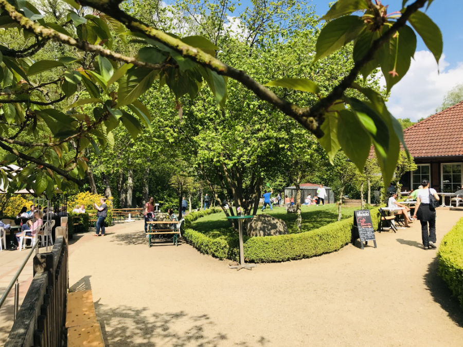 Garten der Schmetterlinge – Bild 1