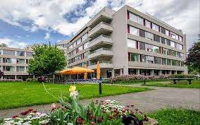 Ziegen Viva Luzern – Bild 2