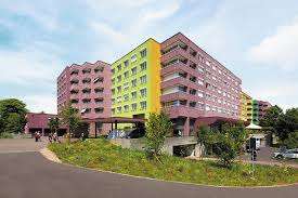 Ziegen Viva Luzern – Bild 3