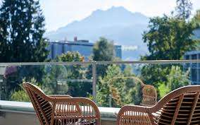 Ziegen Viva Luzern – Bild 4