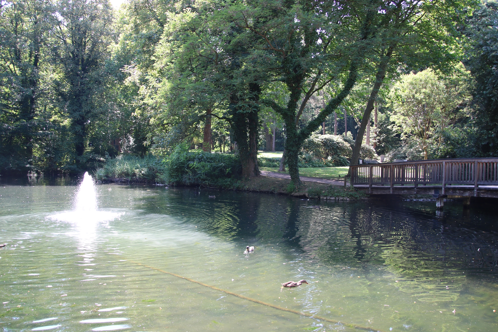 Kurpark Werl – Bild 6