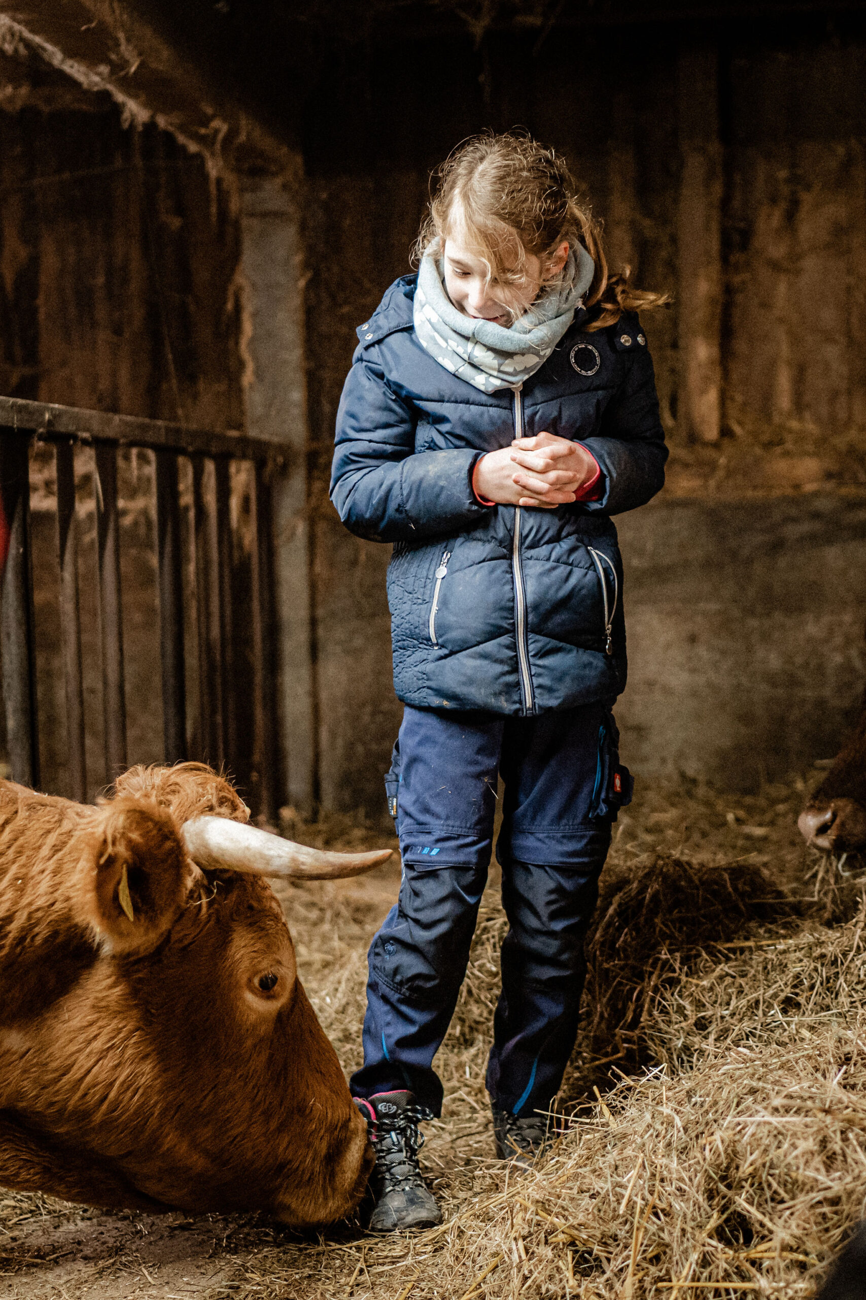 Stall Vauß-Hof Landwirtschaft – Bild 3