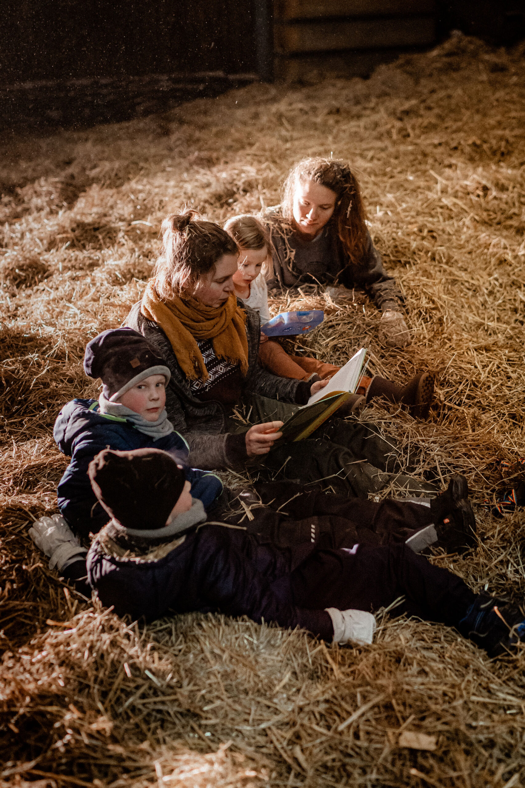 Stall Vauß-Hof Landwirtschaft – Bild 6