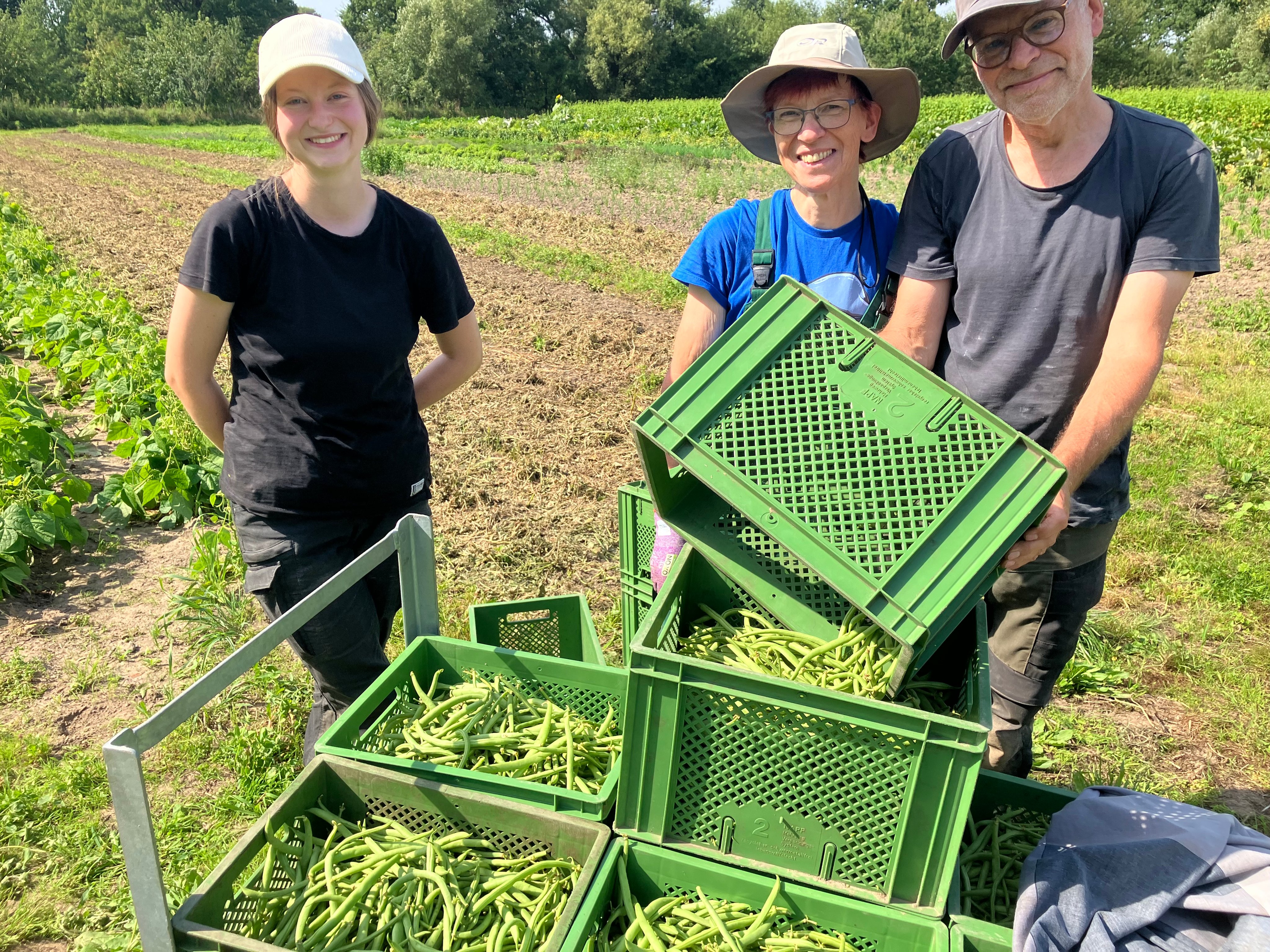 Solawi Ringstedtenhof – Bild 1