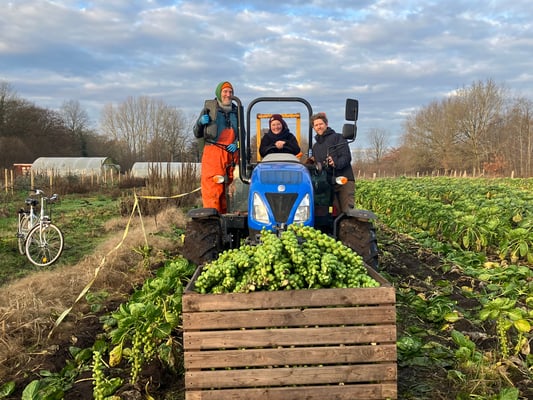 Solawi Ringstedtenhof – Bild 3