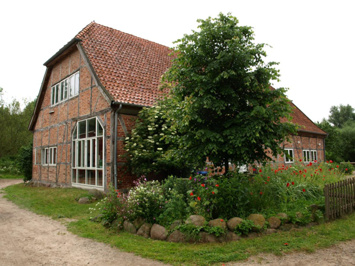 Solawi Ringstedtenhof – Bild 4