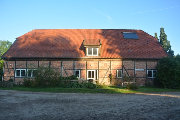 Solawi Ringstedtenhof – Bild 6