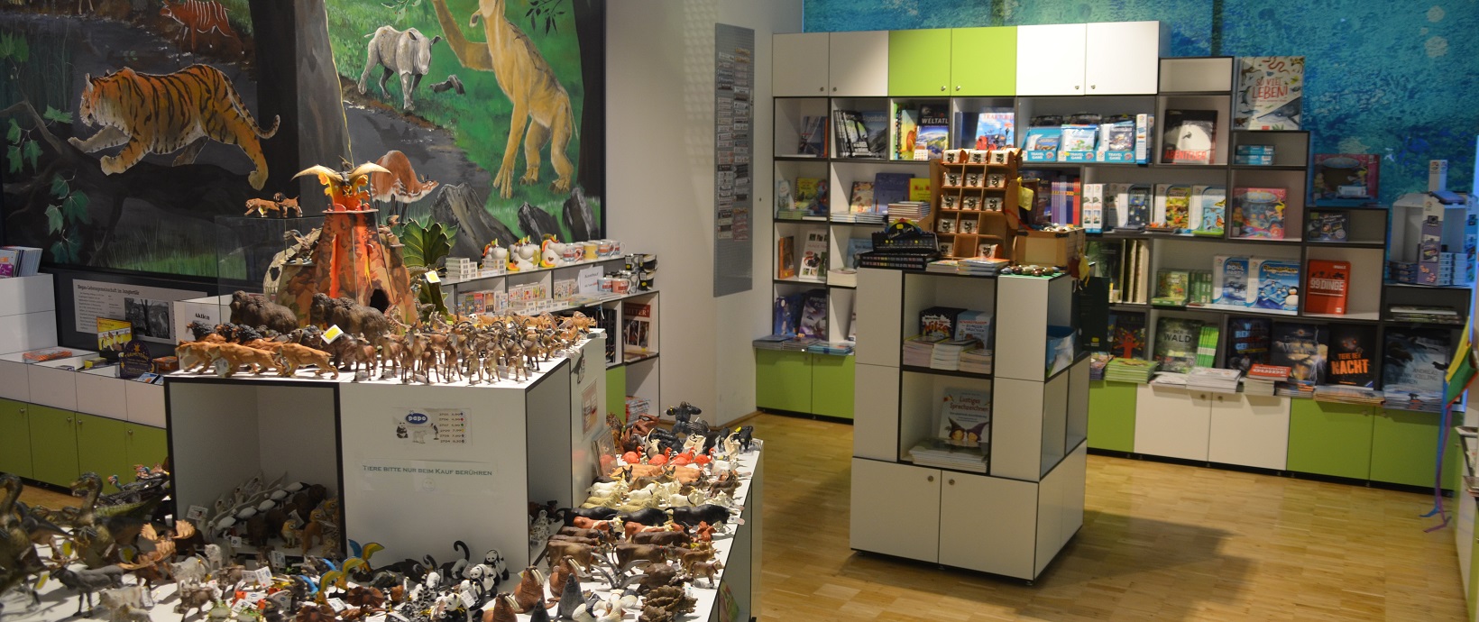 Bodensee-Naturmuseum – Bild 3