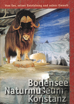 Bodensee-Naturmuseum – Bild 4