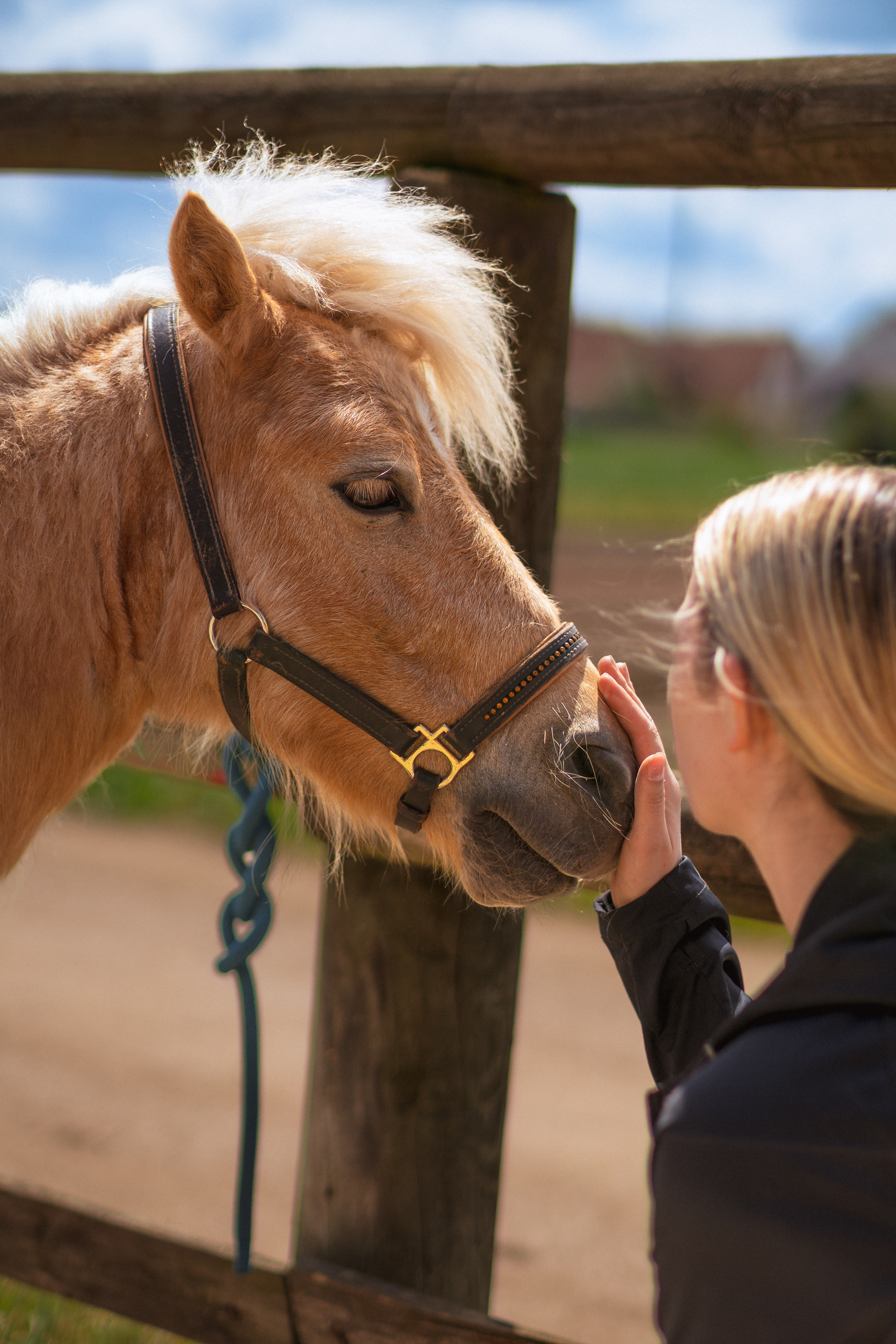 Ponyhof Café Bübel – Bild 2
