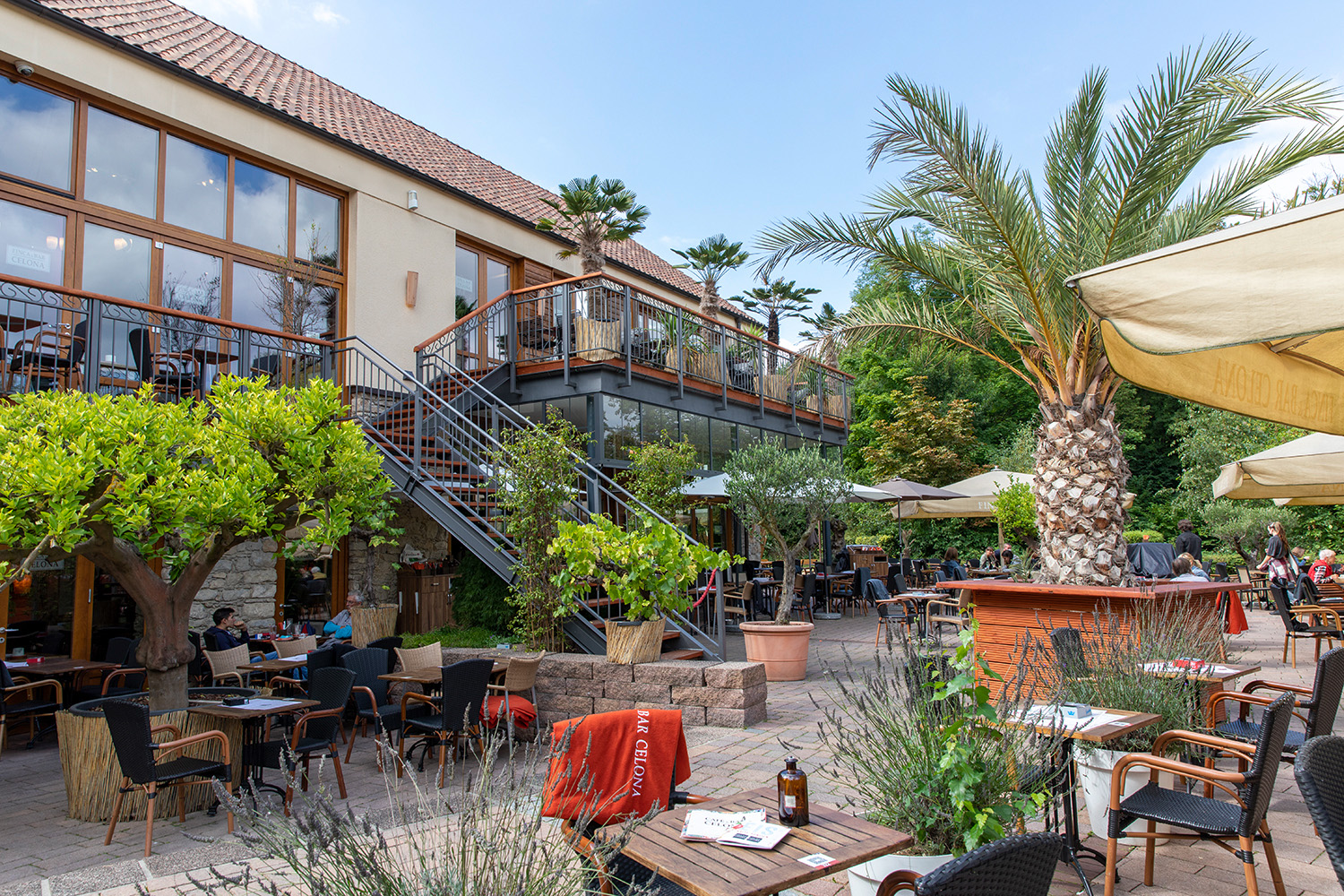 Café und Bar Celona Finca – Bild 3