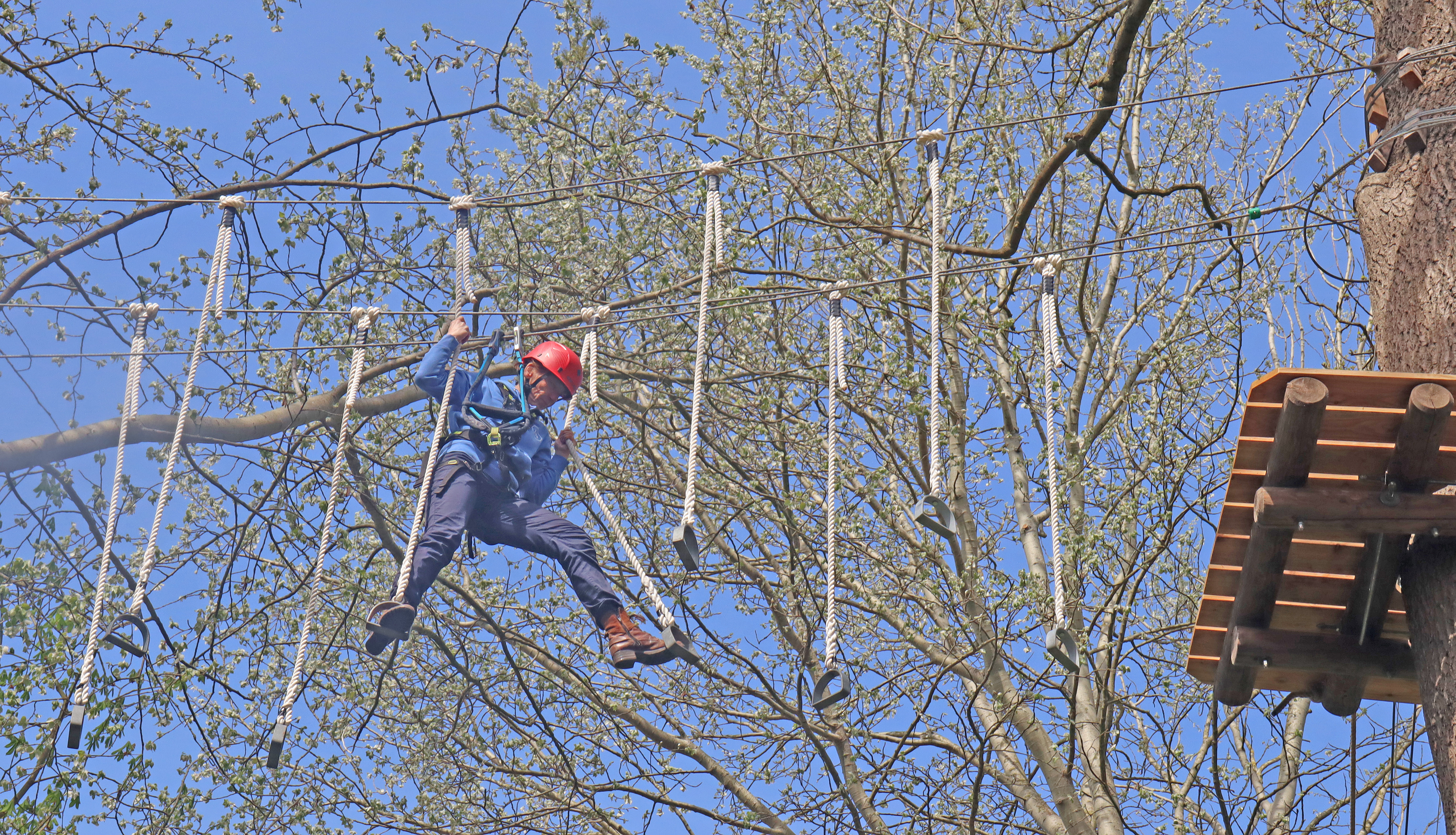 Kletterwald Travemünde – Bild 4