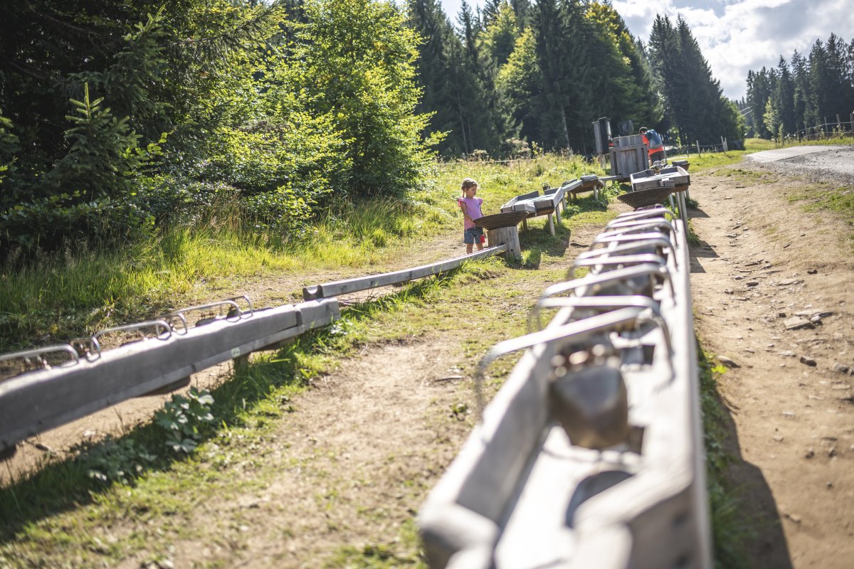 Söllis Kugelbahn Zielbahn – Bild 5