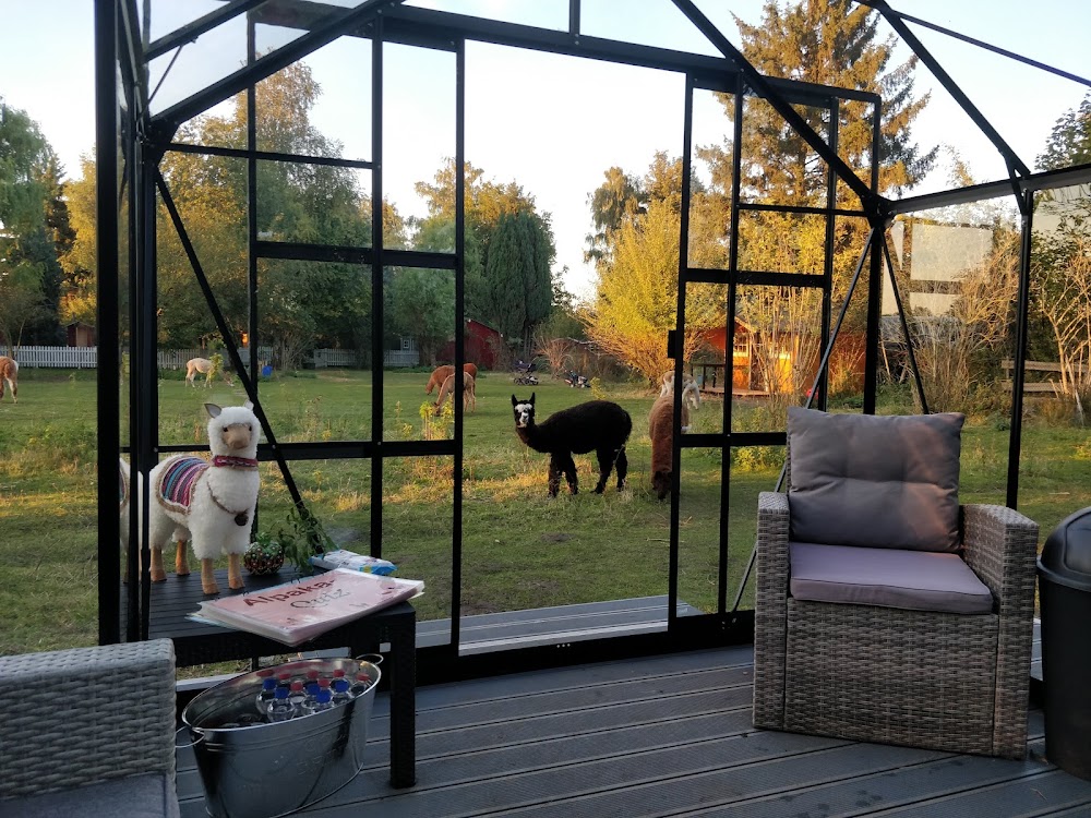 Alpakadorf - Touren, Lädchen & Café – Bild 2