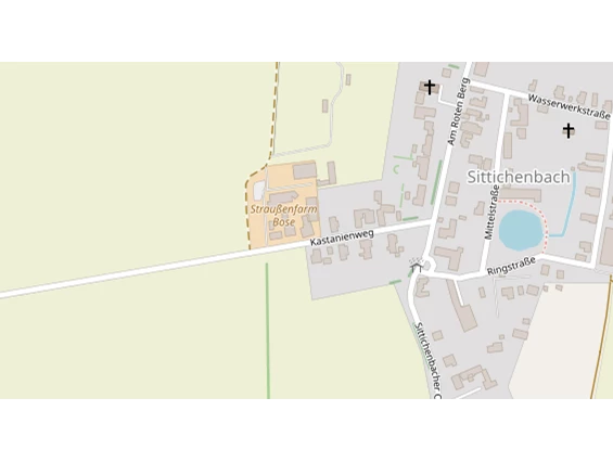 Straußenfarm Bose – Bild 2