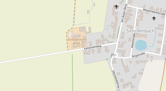 Straußenfarm Bose – Bild 3