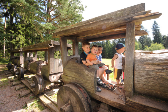 Wildgehege Salvest – Bild 6