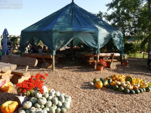 Erlebnisplantage Moritzburg – Bild 6