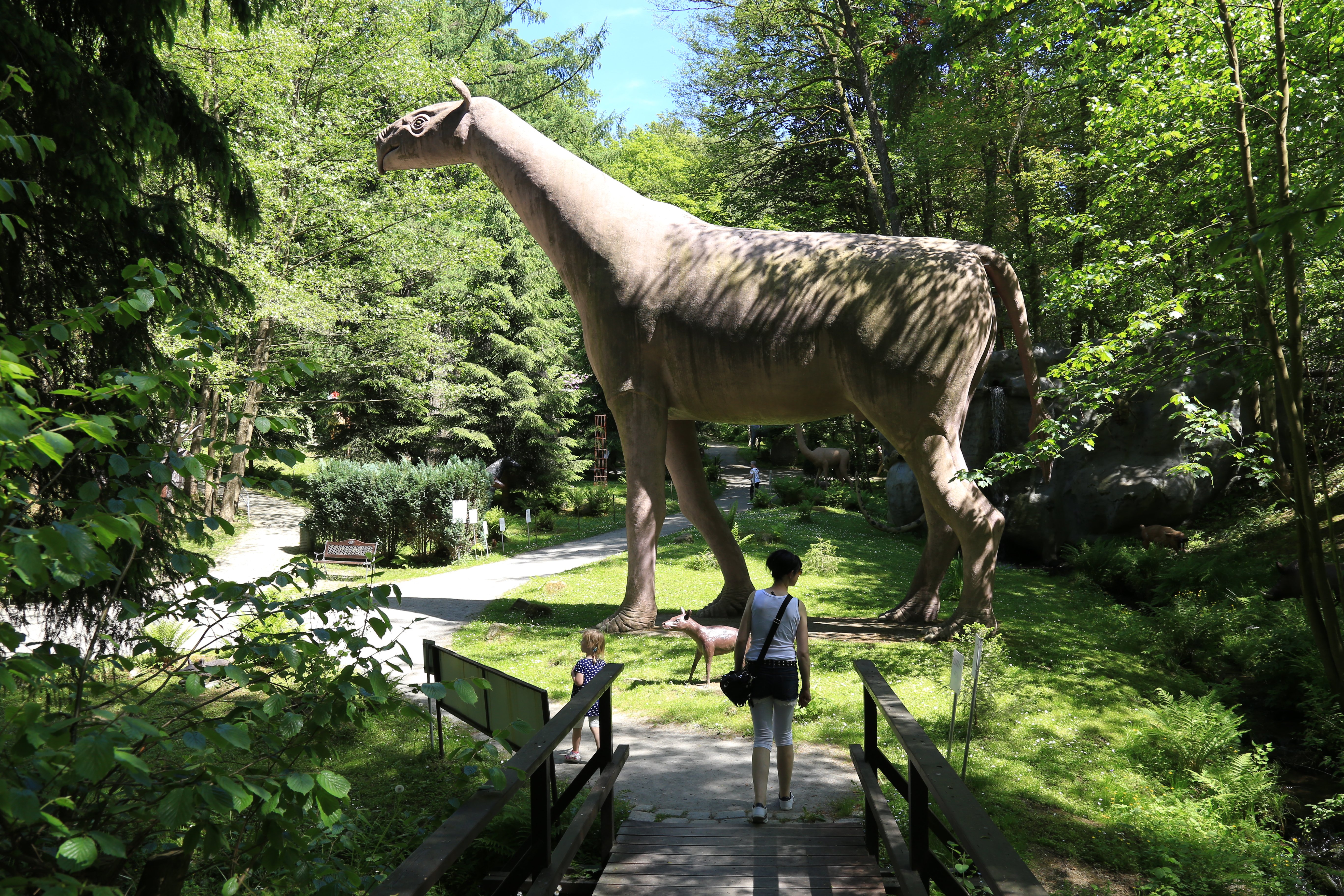 Urzeitpark – Bild 1