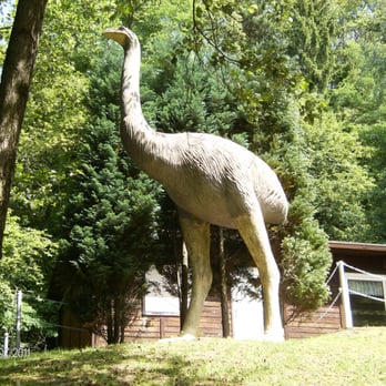 Urzeitpark – Bild 4