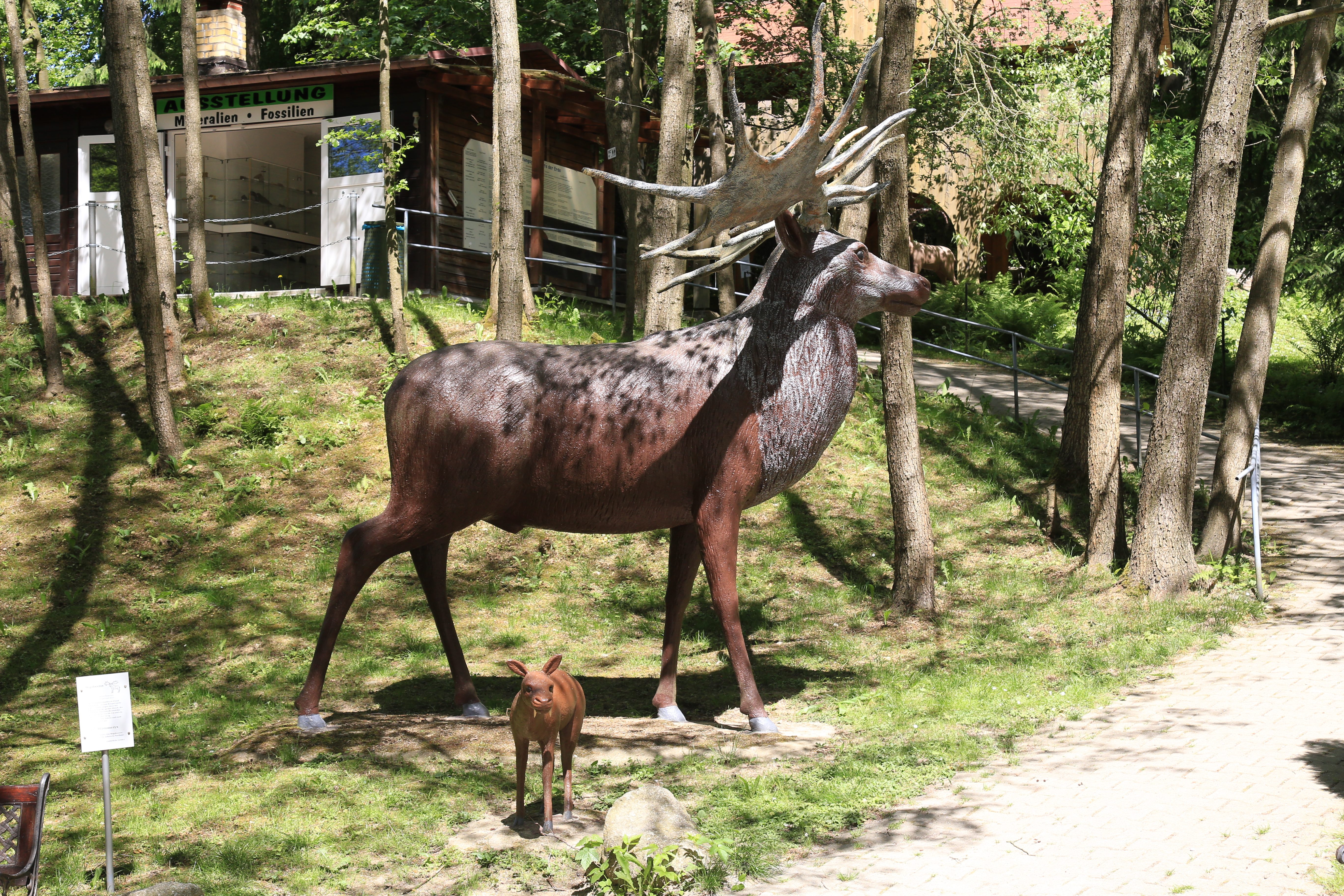 Urzeitpark – Bild 6